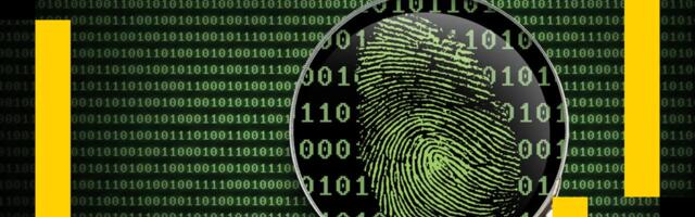 Elliptic Warns of Industrial-Scale Pig Butchering Scams Laundering Through Crypto