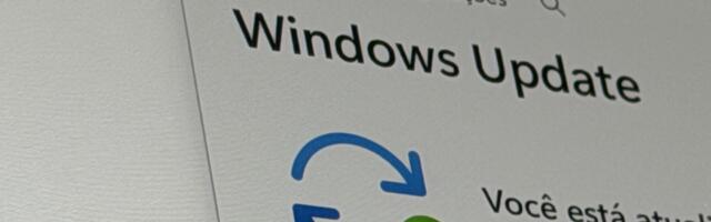 Windows 11: Microsoft Suspends Important Update After Installation Errors