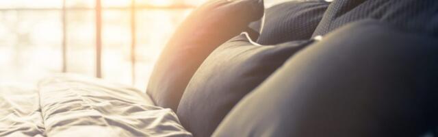 Luxury Hotels Turn to Unlikely Tech to Fight Bedbugs