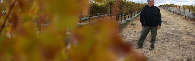 New college program seeks to reinvigorate Livermore Valley as a Bay Area winemaking hotspot
