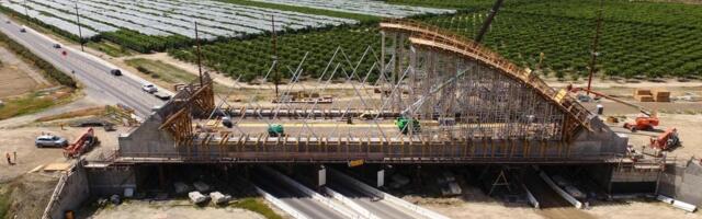 California high-speed rail leader pushes state to support private investment