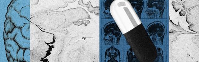 A Startup Used AI to Make a Psychedelic Without the Trip