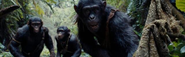Watch Kingdom of the Planet of the Apes' Stars Attend Ape School