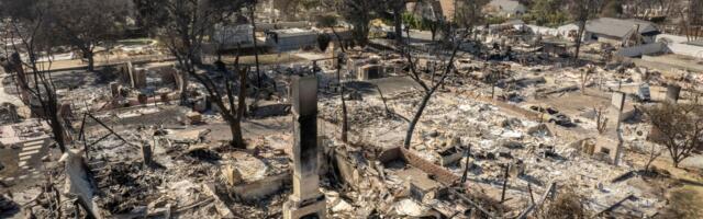 What makes a neighborhood resilient to fires?