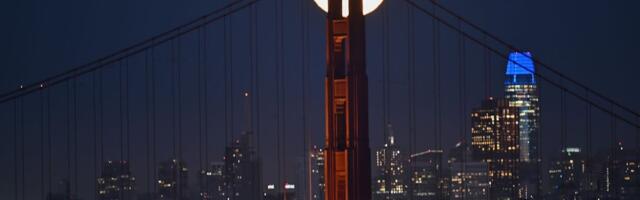 Startups Navigate Walled Off Data