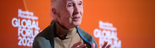 Dr. Jane Goodall, groundbreaking chimpanzee expert and conservationist, has died