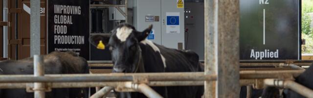 Batteries, urine and seaweed — how startups plan to solve the fertiliser crisis