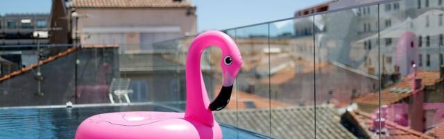 Creators Take on Cannes