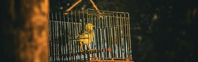 Bitcoin devs bet a quantum attacker will play nice with a ‘wait and react’ plan