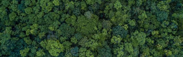 Climate tech crowdfunding soars as investors go green