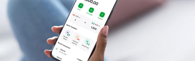 Bamboo Launches ‘Coins by Bamboo’ Remittance App for Nigerians Abroad