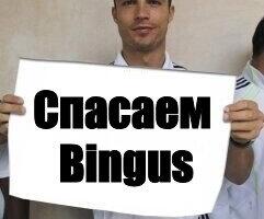 Спасаем Бингус, и как я поправил ИИ помощника. Мануал для новичков