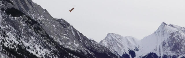 Josh Ogden thinks Canada’s drone industry can gain some altitude 