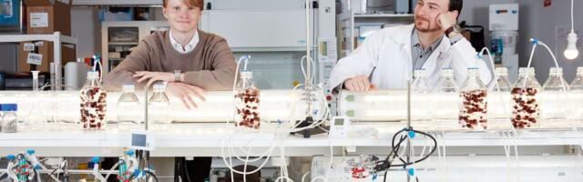 Gothenburg’s Volta Greentech secures €1.7 million to tackle global warming by reducing methane emissions from cows