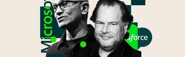 Inside Big Software's fight for its life