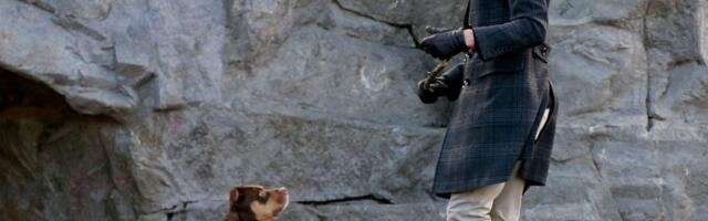 Tom Brady reveals new dog Junie is a clone of beloved Lua, who died in 2023