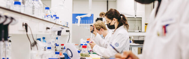 Groningen’s formula for startup success: fostering university spin-offs