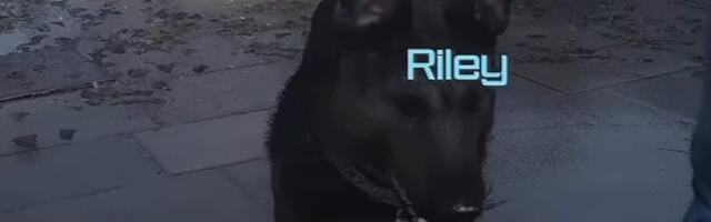 Call of Duty's best dog is back in Modern Warfare 3