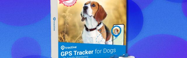 Keep a watchful eye on your fur baby with 40% off the Tractive GPS