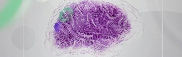 Polish startup Vivid Mind raises $200K for innovative dementia detection