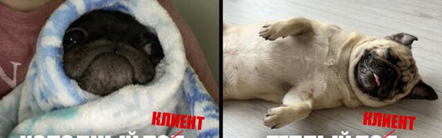 Во сколько раз увеличивает доход сквозная аналитика? Оцифровываем воронку продаж продавца теплого пола