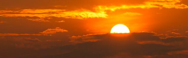 How 7 scientists feel after the hottest year on record