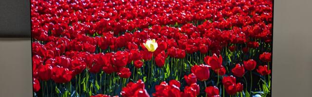 'It's looking good': I've been testing the LG C6 OLED TV and these are the top 3 things it improves from its predecessor — and one where it still struggles