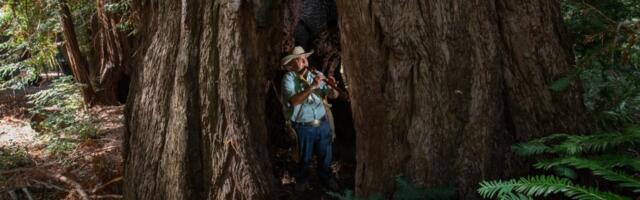 Historic Big Sur property, once owned by William Randolph Hearst, to get new owners