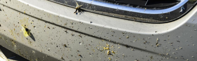 Want To Keep Bugs From Sticking To The Front Of Your Car? This May Be A Solution
