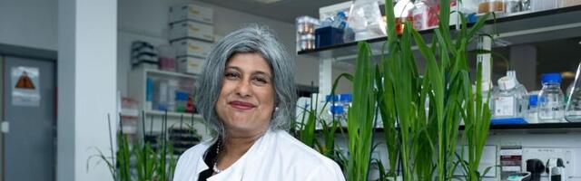 ‘Nature-inspired’ insecticide startup Solasta Bio raises £10.7m