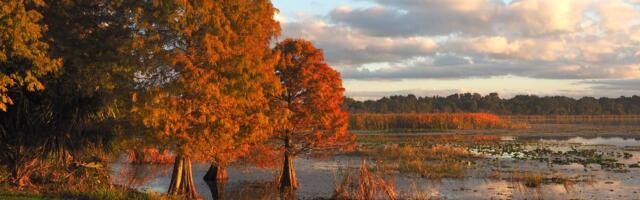 I've lived in Florida for 25 years. Fall is hands-down the best time of year to visit.