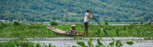 U.S. Treasury Sanctions Burmese Militia Group Said to Run 'Pig Butchering' Compounds