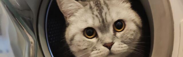 Бытовой UX или зачем в стиралке иллюминатор