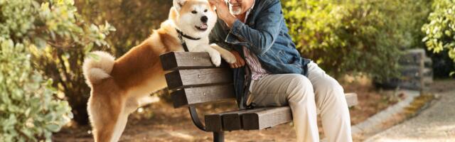 People who thrive in retirement typically do these 8 things within their first three months