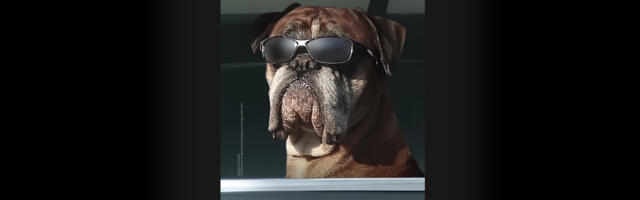 Official Galaxy S26 teaser videos are here, hinting at better zoom and more