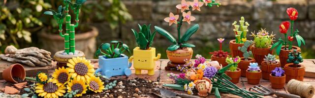 I've hand-picked the best Lego Botanicals sets for Mother's Day, from spiky succulents to cheerful sunflowers