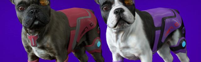 Why on earth are people investing in metaverse pets?