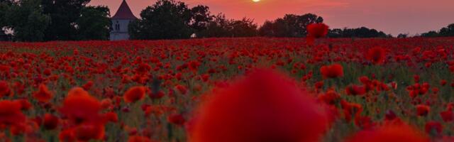 The summer solstice is Wednesday: 7 things to know about the longest day of the year