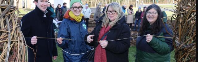 University of Galway plants ‘Pocket Forest’ woodland