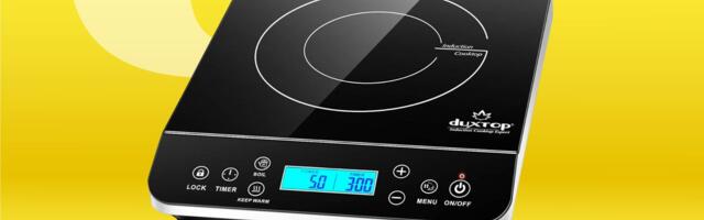 This Portable Induction Cooktop Is the Hero That Got Me Through a Kitchen Remodel