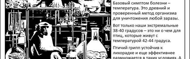[Перевод] Птичий грипп и ген жароустойчивости. Чем опасен птичий грипп?