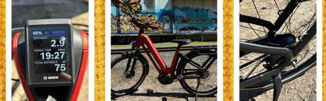 Gazelle Eclipse Review: A Luxury Dutch Electric Bike