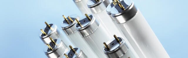 This US State Is Banning Fluorescent Light Bulbs In 2026