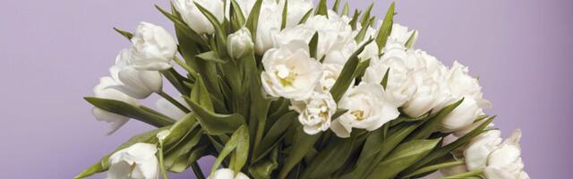 Hacking Mother’s Day: What Tech Leaders Are Buying the Moms in Their Lives