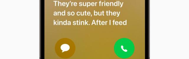 Is Apple's iOS 17 Live Voicemail Feature Too Confusing?