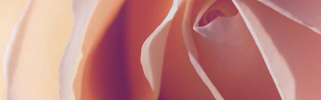 Why fundraising in sextech is so painful, and 4 strategies to make it less so