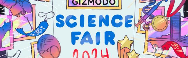 The Winners of the 2024 Gizmodo Science Fair