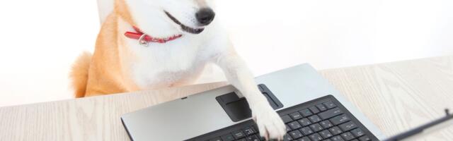 'No DOGE in D.O.G.E.', Says Dogecoin Proponent Elon Musk