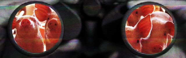 493 Cases of Sextortion Against Children Linked to Notorious Scam Compounds