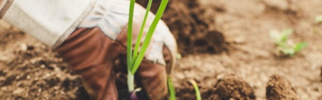 Today in acquisitions: Converge Technology Solutions, LEAF Mobile, Syntax, and more